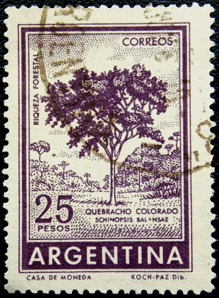 Аргентина 1966 г . Красное Квебрахо
